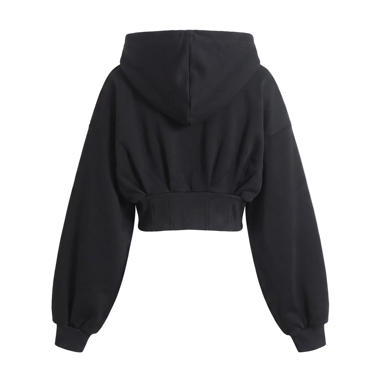 LENCE Cropped Zip Hoodie